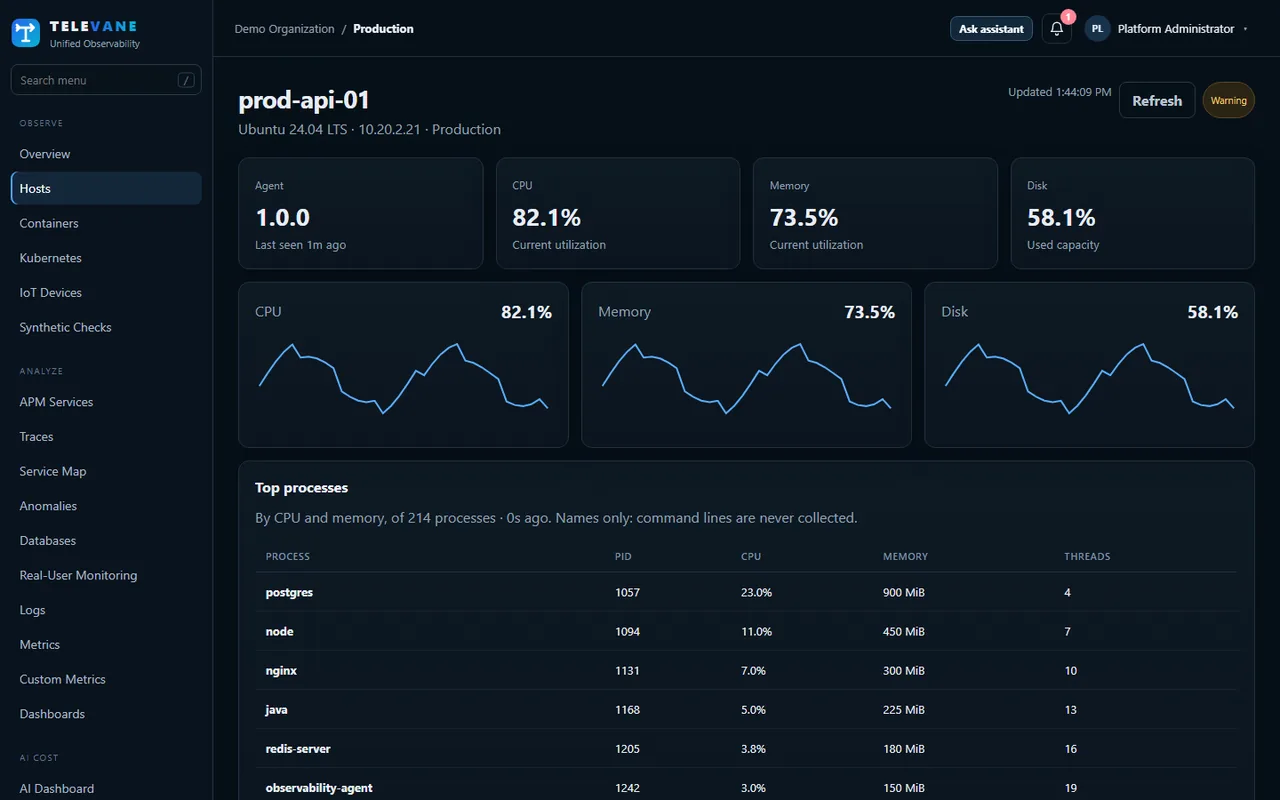 Infrastructure monitoring: CPU, memory and disk charts and top processes for a server